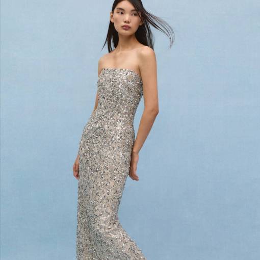 Jenny-Pakcham-silber-Corsagenkleid-Sirocco