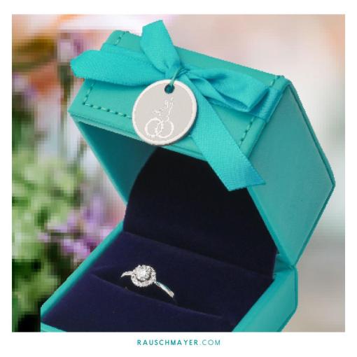 verlobungsring-postings-verlobung-ringdose-rauschmayer-sileber-brillant-hochzeit