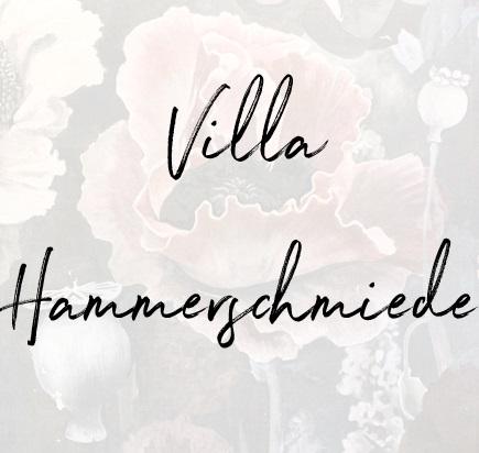 25Villa Hammerschmiede Bild vorne